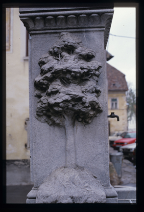 Radovljica - Vodnjak na Linhartovem trgu, fotografija