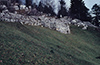Podkraj - Arheološko najdišče Hrušica-Ad Pirum