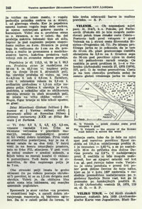 Veliko Tinje