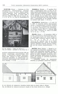 Podbela