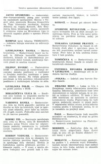 Rimski zid